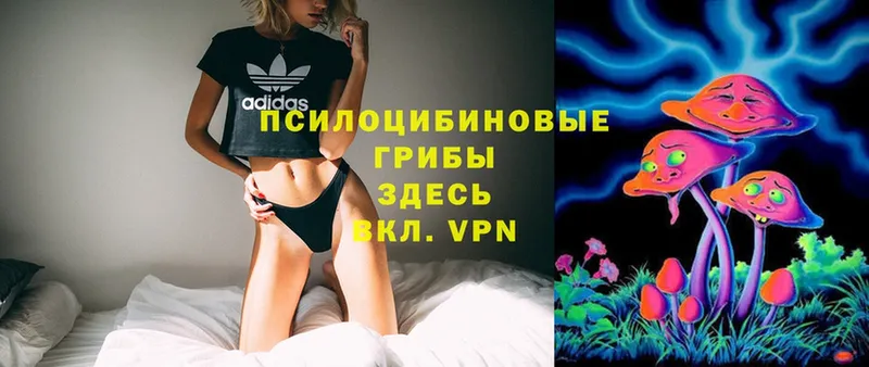 Галлюциногенные грибы Psilocybe  как найти закладки  Островной 